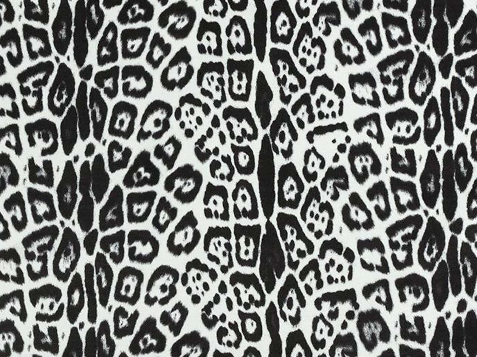 animal print jaguar blanco loles by loles